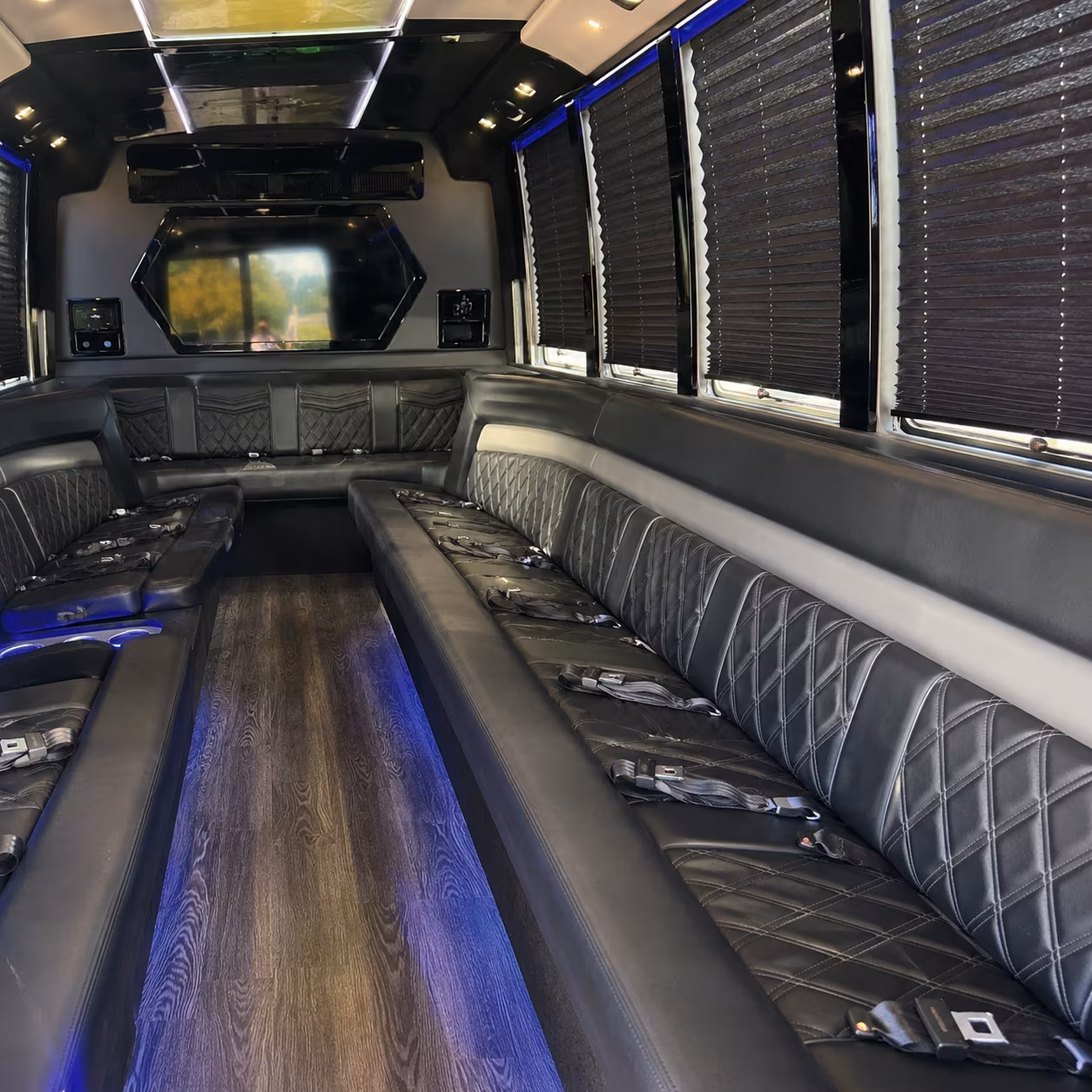mountain view party bus gallery